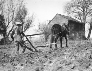 Boy Plowing Field - Lesson 1 Photo